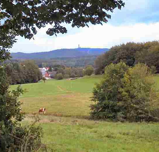 Blick zum Feldberg