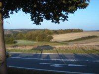 Blick auf die Kleingärten mit dem Klettergarten